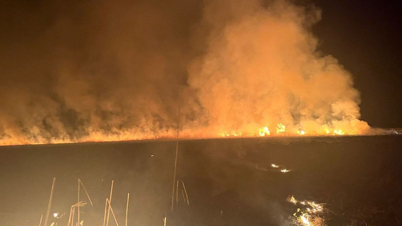 Kuş cennetinde yangın - Resim: 5