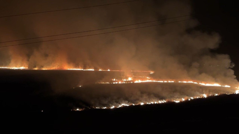 Kuş cenneti yanıyor: Yerleşim yerleri tehdit altında - Resim: 6