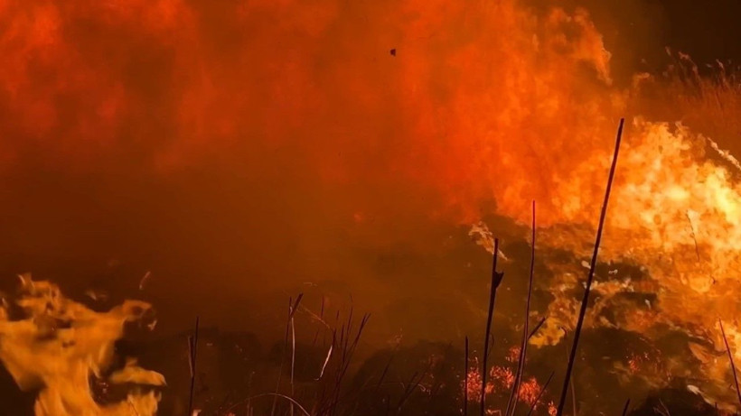 Kuş cenneti yanıyor: Yerleşim yerleri tehdit altında - Resim: 7