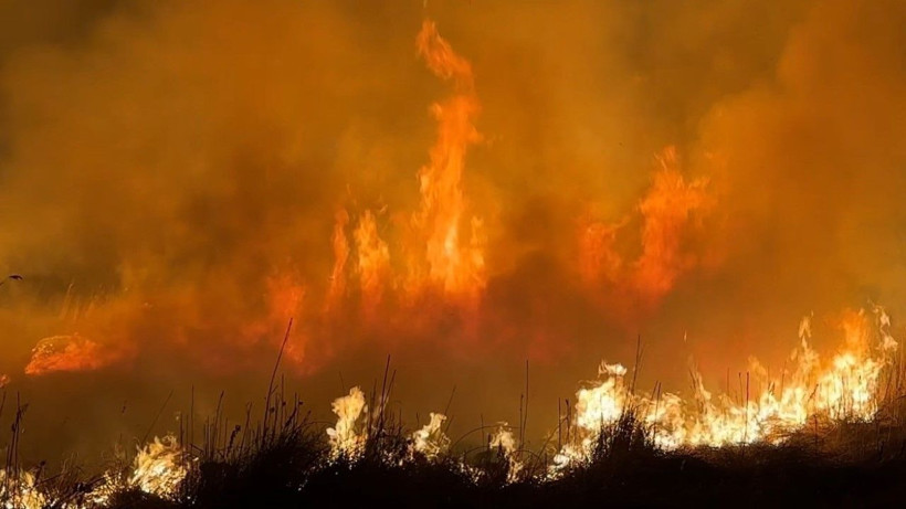 Kuş cenneti yanıyor: Yerleşim yerleri tehdit altında - Resim: 8