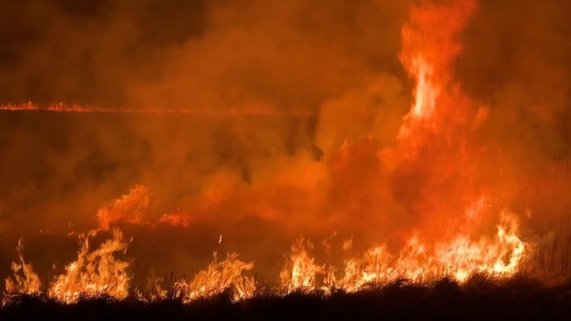 Kuş cenneti yanıyor: Yerleşim yerleri tehdit altında - Resim: 9