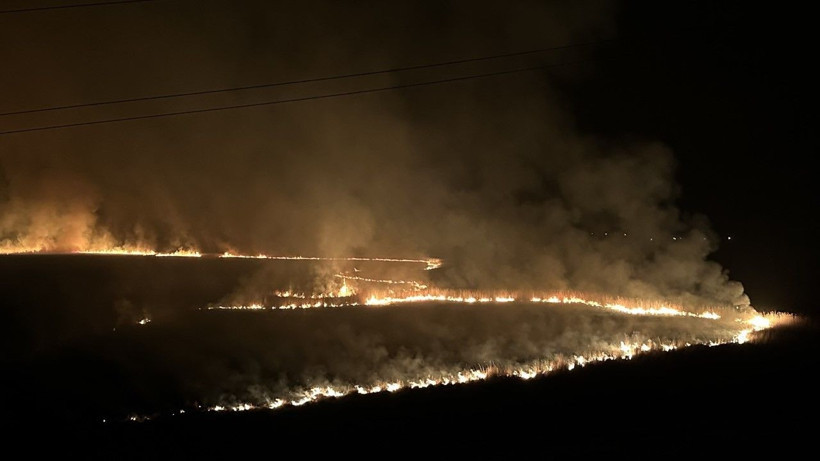 Kuş cenneti yanıyor: Yerleşim yerleri tehdit altında - Resim: 10