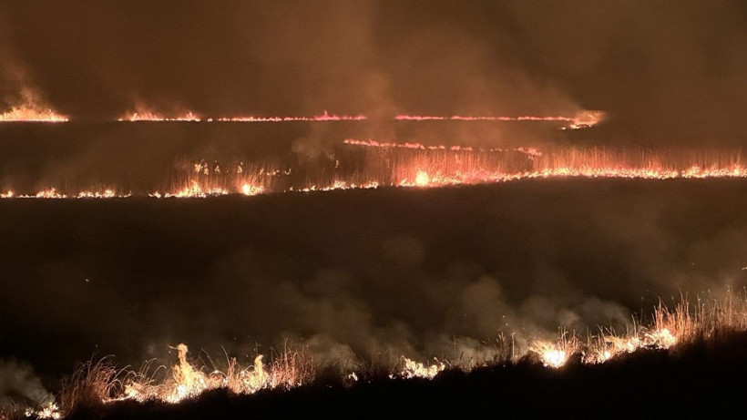 Kuş cenneti yanıyor: Yerleşim yerleri tehdit altında - Resim: 11