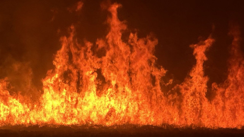 Kuş cenneti yanıyor: Yerleşim yerleri tehdit altında - Resim: 12