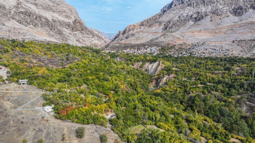 İklim değişti mahsul şaşırttı: Diyarbakır'da mikroklima mucizesi - Resim: 3