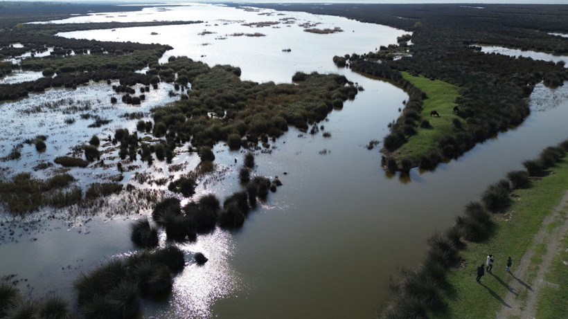 Kuş Cenneti'ne ziyaretçi akını - Resim : 2