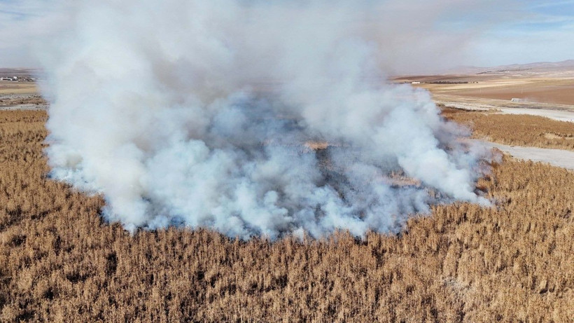 Konya Gök Gölü sazlık bölgedeki yangın 2'nci gününde - Resim: 1