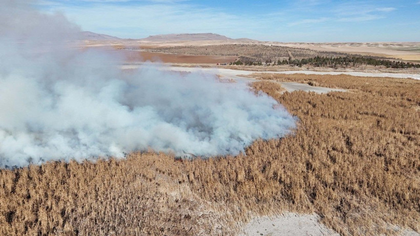 Konya Gök Gölü sazlık bölgedeki yangın 2'nci gününde - Resim: 4