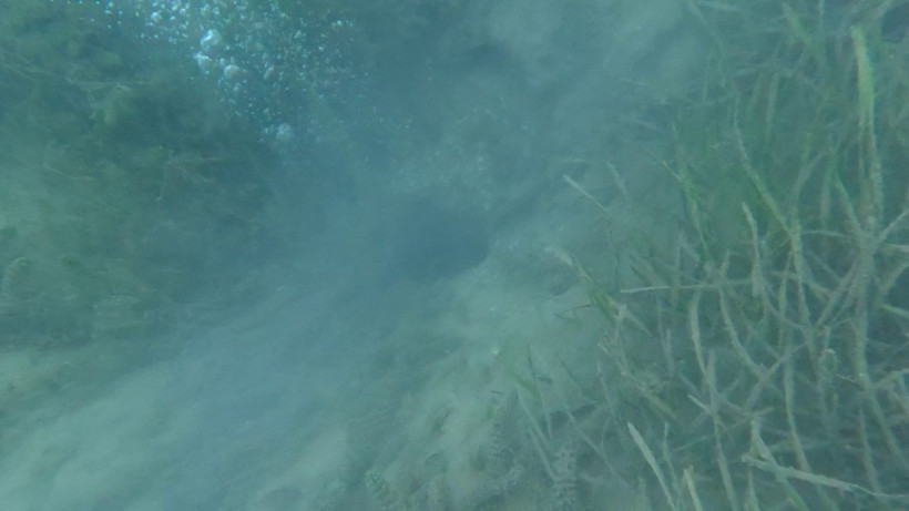 Kuzey Anadolu Fay Hattı üzerinde endişelendiren görüntü - Resim: 5