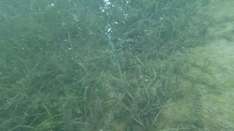 Kuzey Anadolu Fay Hattı üzerinde endişelendiren görüntü - Resim: 6