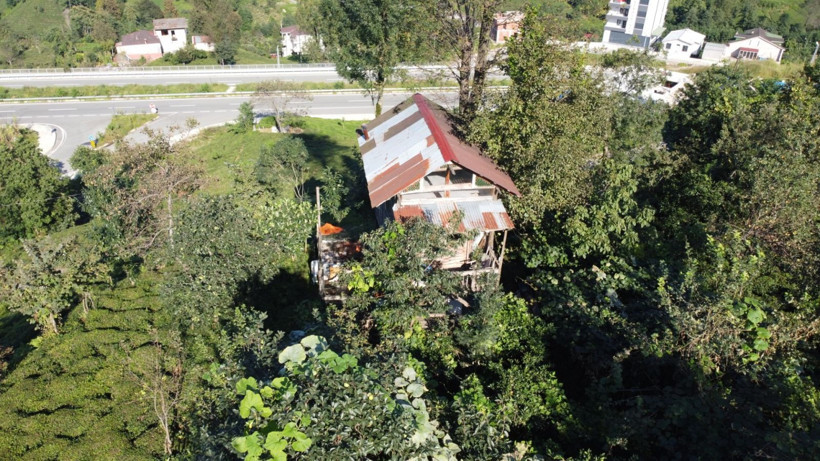 Hayalleri gerçek oldu: Çöpten ağaçkondu yaptılar - Resim: 2