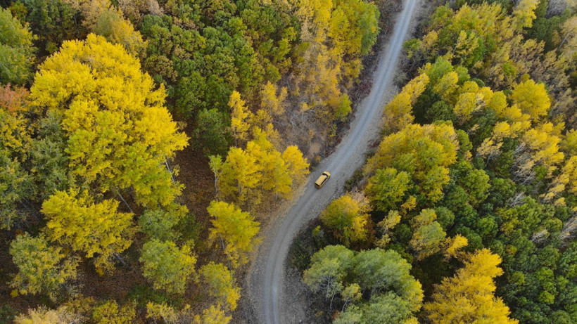 Mahkemeden Munzur kararı: 'Artık imkansız hale geldi' - Resim: 3