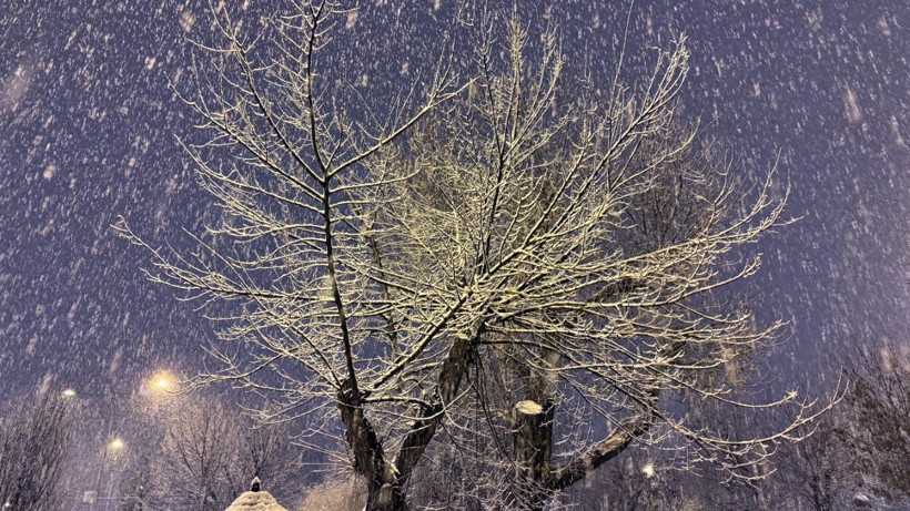 Kar yağışı kenti beyaza bürüdü - Resim: 7