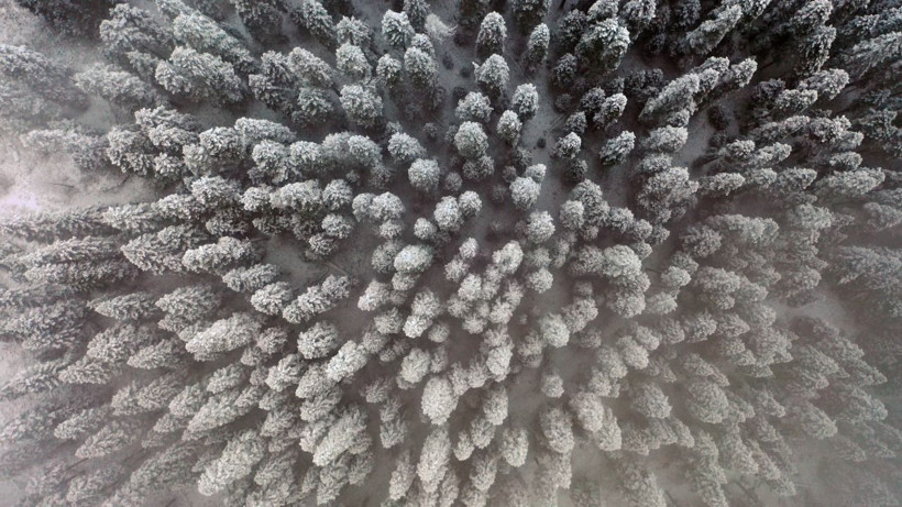 Karla kaplanan Ilgaz Dağı'nda muhteşem manzara - Resim: 6