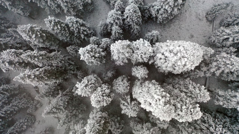 Karla kaplanan Ilgaz Dağı'nda muhteşem manzara - Resim: 4