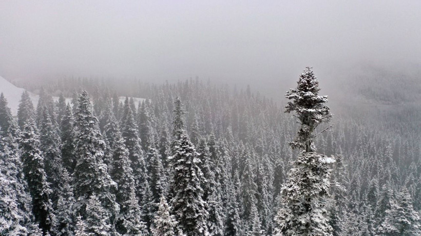 Karla kaplanan Ilgaz Dağı'nda muhteşem manzara - Resim: 3