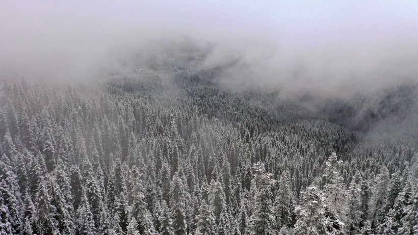 Karla kaplanan Ilgaz Dağı'nda muhteşem manzara - Resim: 2