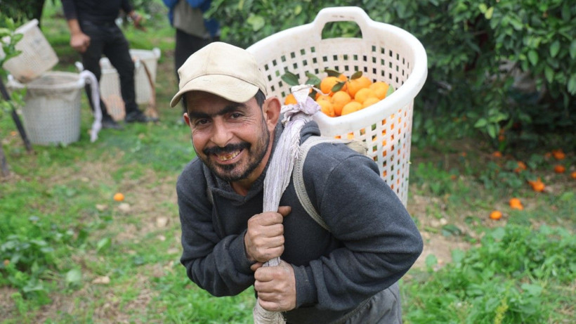 Üretici isyan etti: Tarlada 2, markette 35 lira - Resim: 4