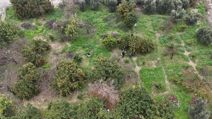 Üretici isyan etti: Tarlada 2, markette 35 lira - Resim: 6