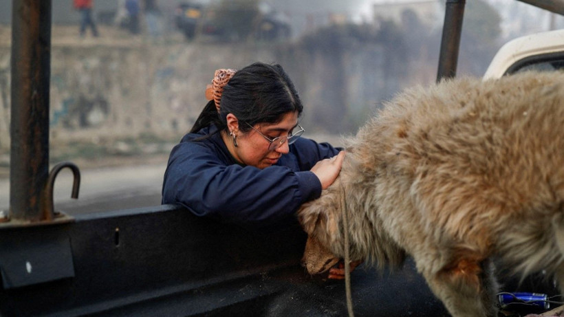 Şili’de orman yangınları: Çok sayıda ölü var - Resim: 15