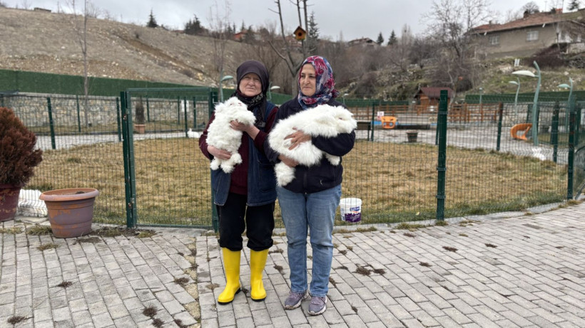 Türkiye'de nesli tükenmişti: Bir gören bir daha bakıyor - Resim: 6
