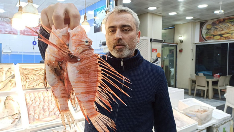 Satışı yasak ama yok satıyor: Kilosu 400 liraya dayandı - Resim : 1