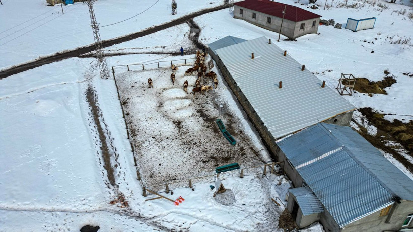 Plazadan meraya: İstanbul’u bırakıp Erzurum’daki köyüne döndü - Resim: 9