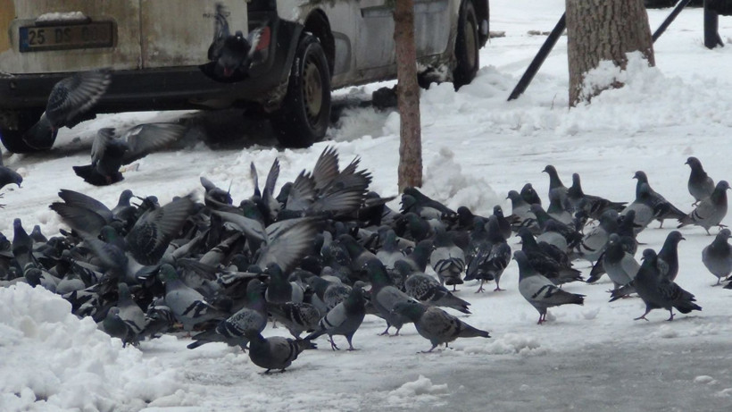 Mart’ta kış geri döndü: Kent sabaha beyaz örtüyle uyandı - Resim: 15