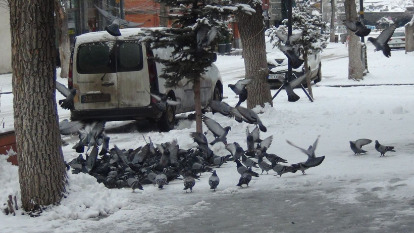 Mart’ta kış geri döndü: Kent sabaha beyaz örtüyle uyandı - Resim: 16