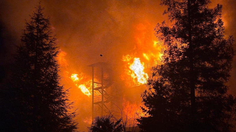 Fındık fabrikası kül oldu - Resim: 4