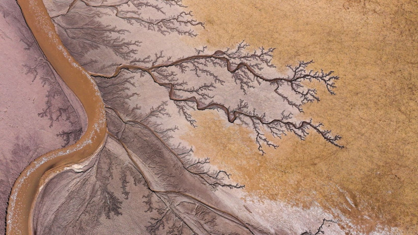 Doğa sanatını konuştu: Resmen tuval - Resim: 1