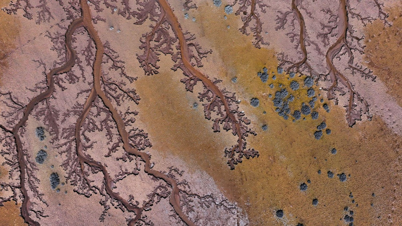 Doğa sanatını konuştu: Resmen tuval - Resim: 2