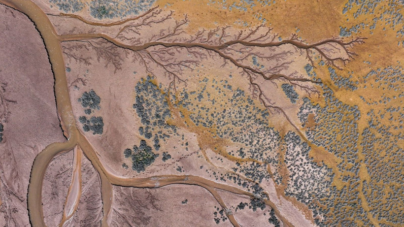 Doğa sanatını konuştu: Resmen tuval - Resim: 3