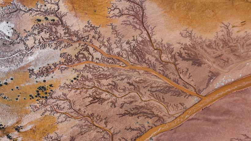 Doğa sanatını konuştu: Resmen tuval - Resim: 5