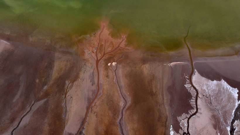 Doğa sanatını konuştu: Resmen tuval - Resim: 7