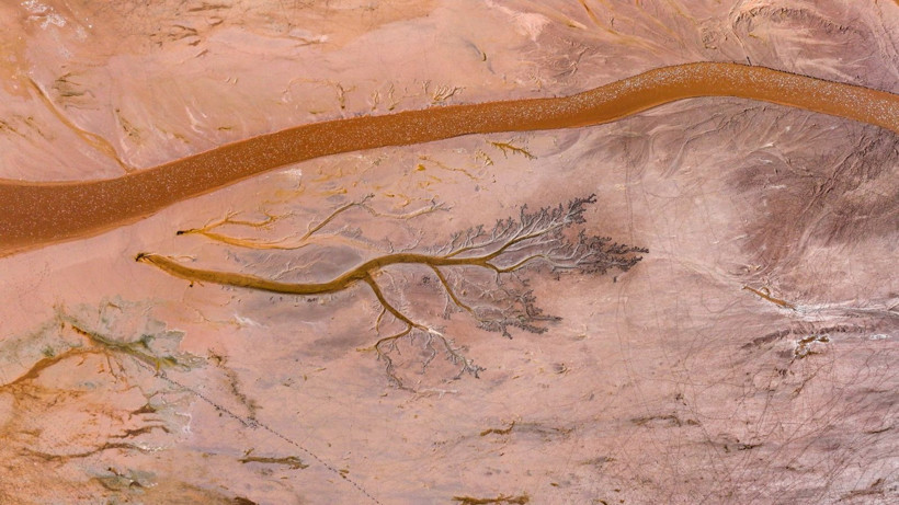 Doğa sanatını konuştu: Resmen tuval - Resim: 8