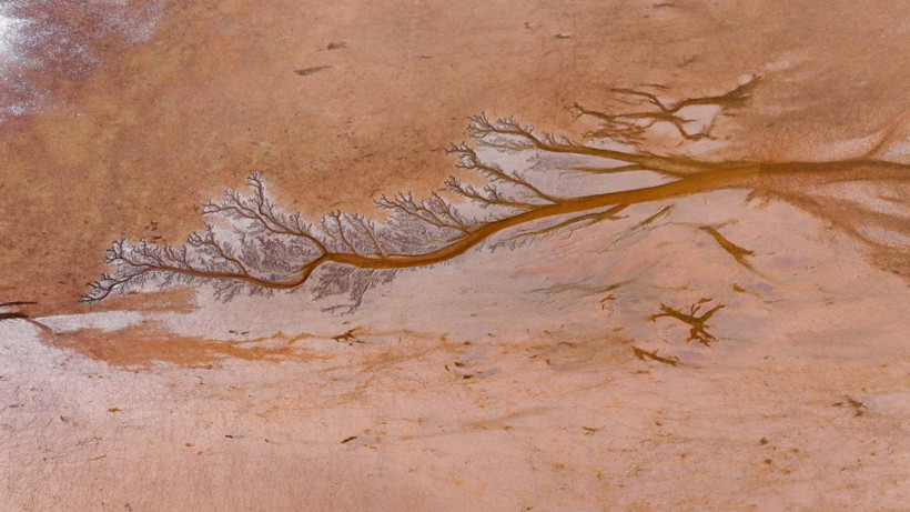 Doğa sanatını konuştu: Resmen tuval - Resim: 9