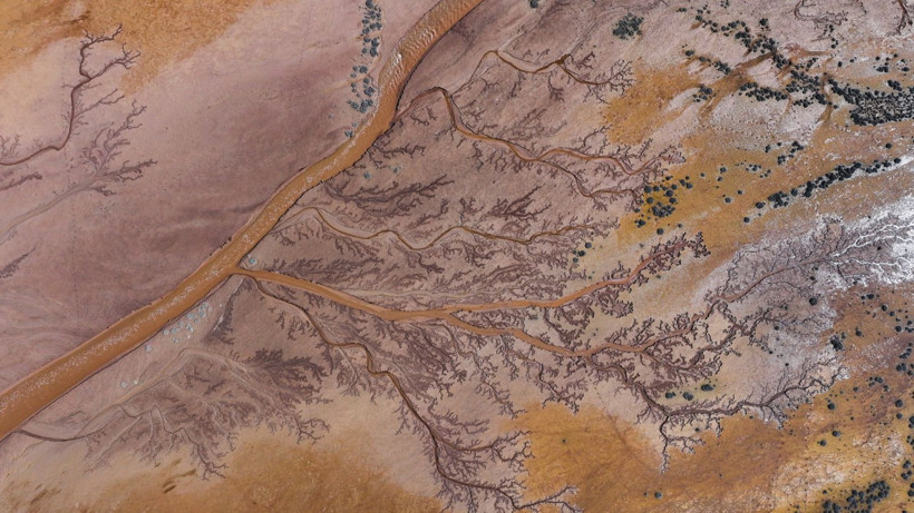 Doğa sanatını konuştu: Resmen tuval - Resim: 11