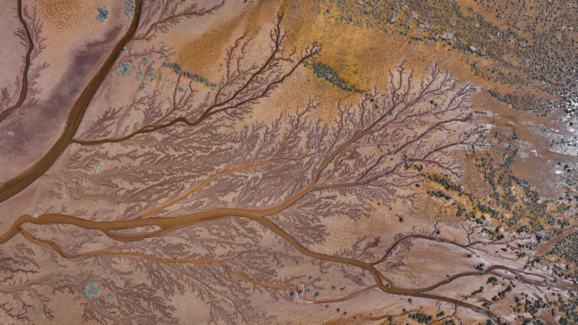 Doğa sanatını konuştu: Resmen tuval - Resim: 14