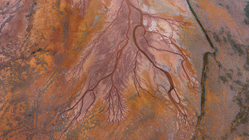 Doğa sanatını konuştu: Resmen tuval - Resim: 16