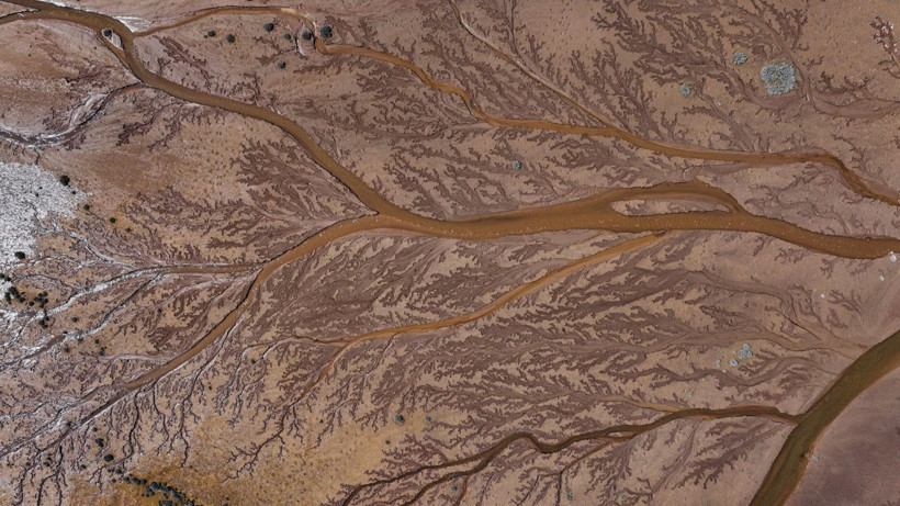 Doğa sanatını konuştu: Resmen tuval - Resim: 18