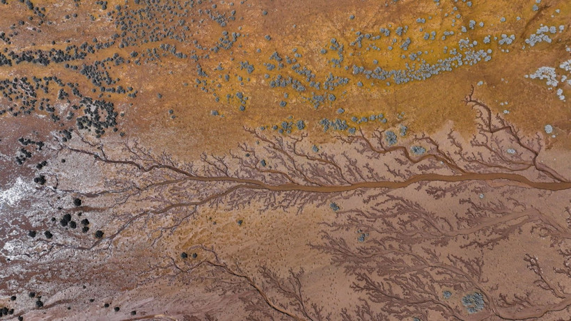 Doğa sanatını konuştu: Resmen tuval - Resim: 19