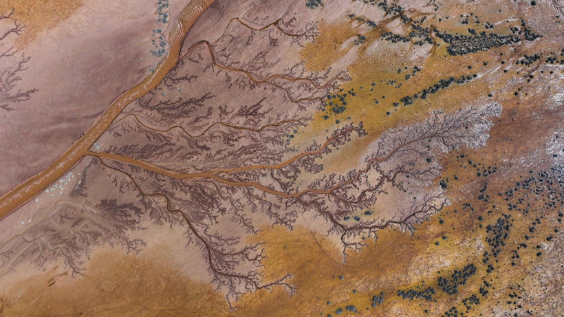 Doğa sanatını konuştu: Resmen tuval - Resim: 20