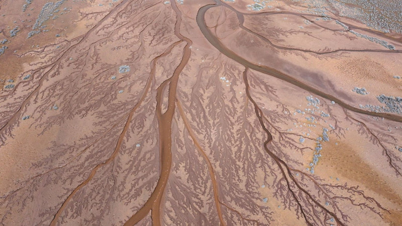 Doğa sanatını konuştu: Resmen tuval - Resim: 21