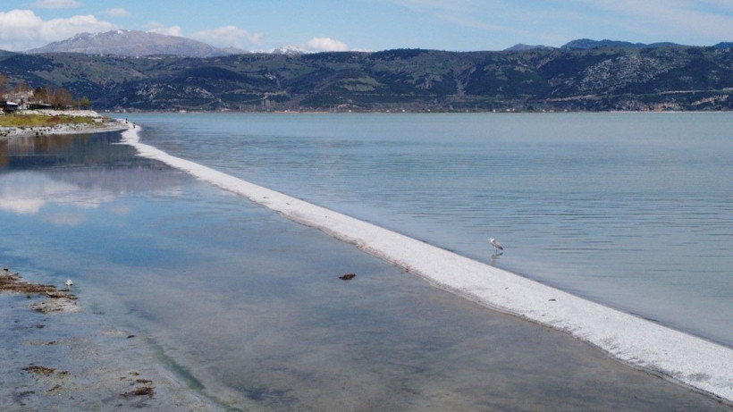 Kendiliğinden oluşan doğal yürüyüş yolu şaşırttı - Resim: 1