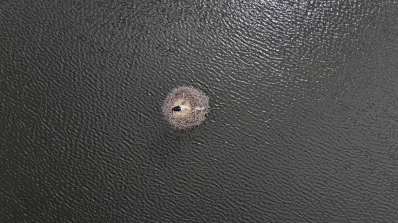 Baraj kapakları açıldı, mahkemelik evler su altına kaldı - Resim: 7