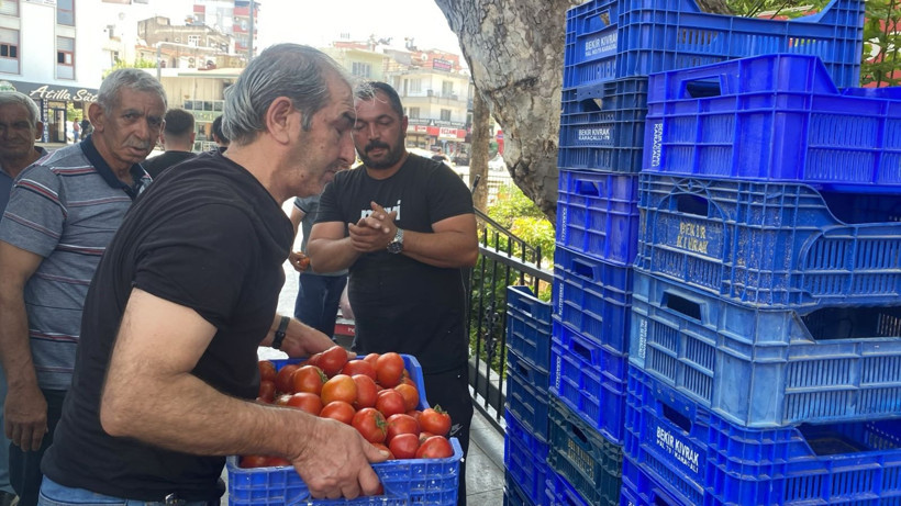 Halde alıcı bulamadığı 4 ton domatesi vatandaşlara ücretsiz dağıttı - Resim: 1