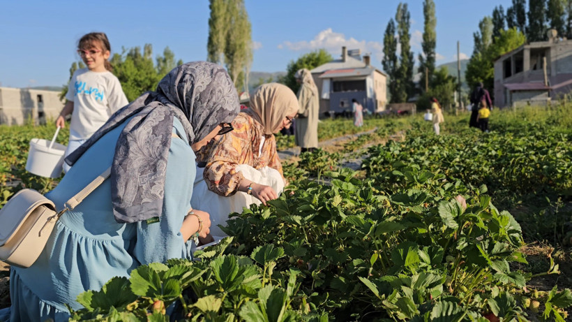 Ne aracı var ne komisyon: Hem vatandaş hem de üretici kazandı - Resim : 2