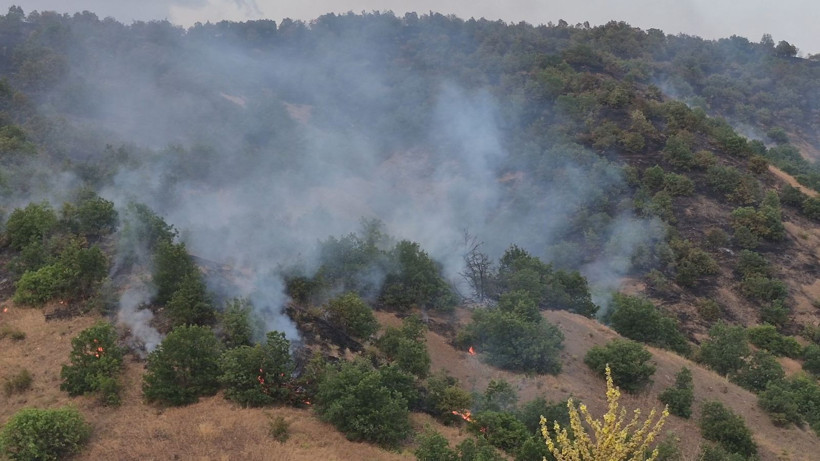 Malatya'da orman yangını: Saatlerdir sürüyor - Resim: 2