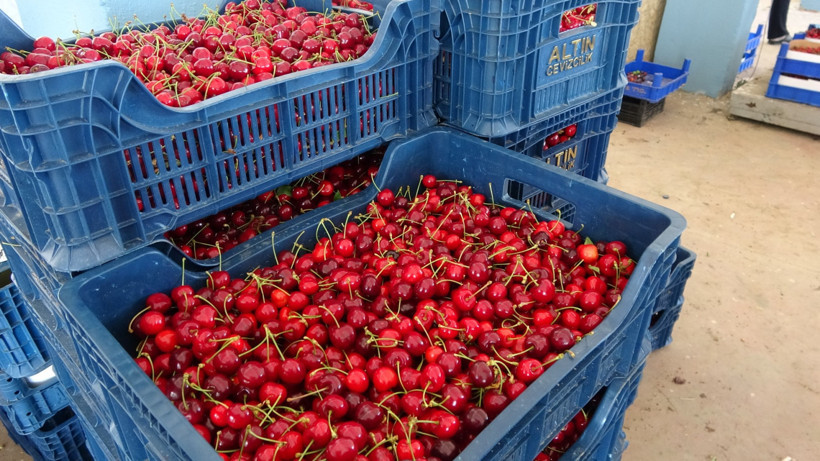 Fiyat farkı isyan ettirdi: Dalında 60 lira, markette 250 lira - Resim : 2